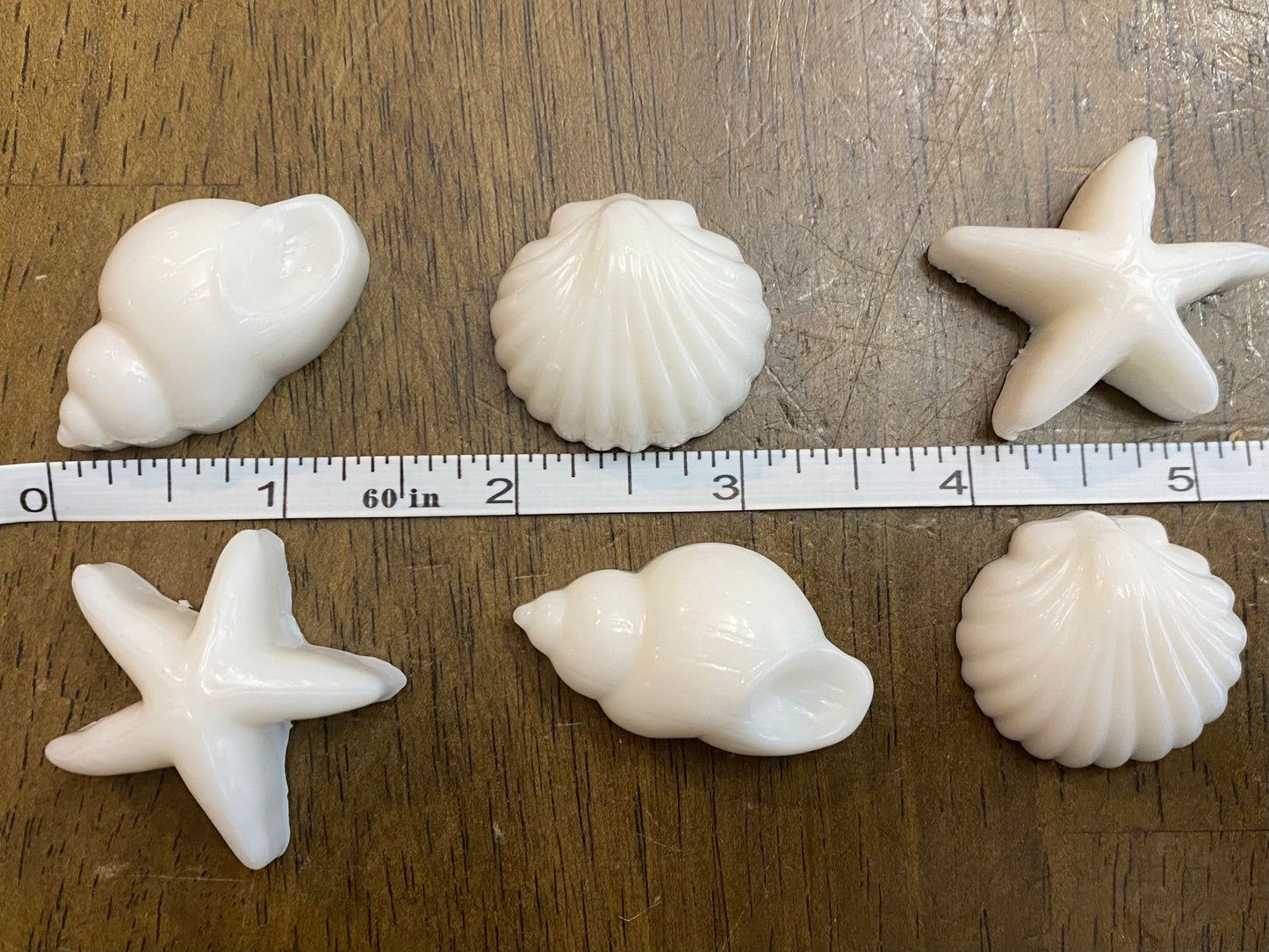 Seashell Soap Unscented