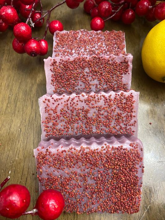 Rosehip and Cranberry Seed Hand Soap