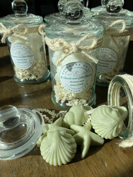 Seashell Soap Set - French Green Clay and Peppermint