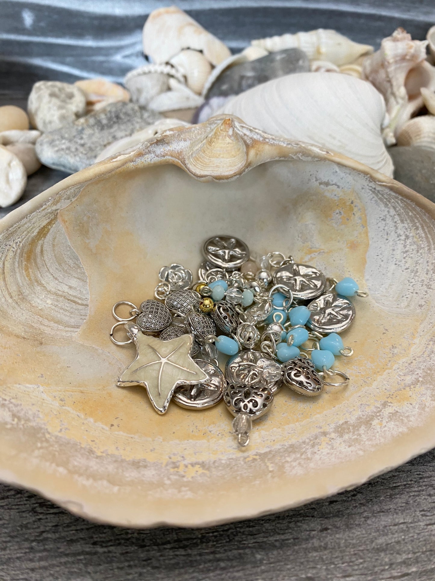 B’s Charm Bar Silver Mini