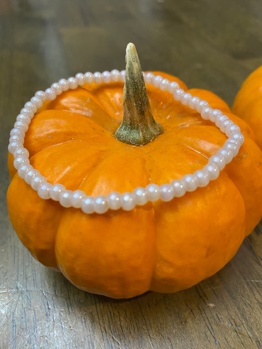 Fall Creamy Glass Seed Bead Bracelet