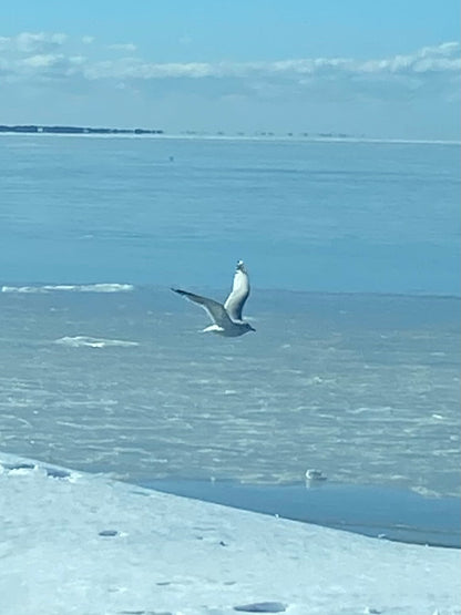 Matted Photo Prints- Edition 1 Island Snow