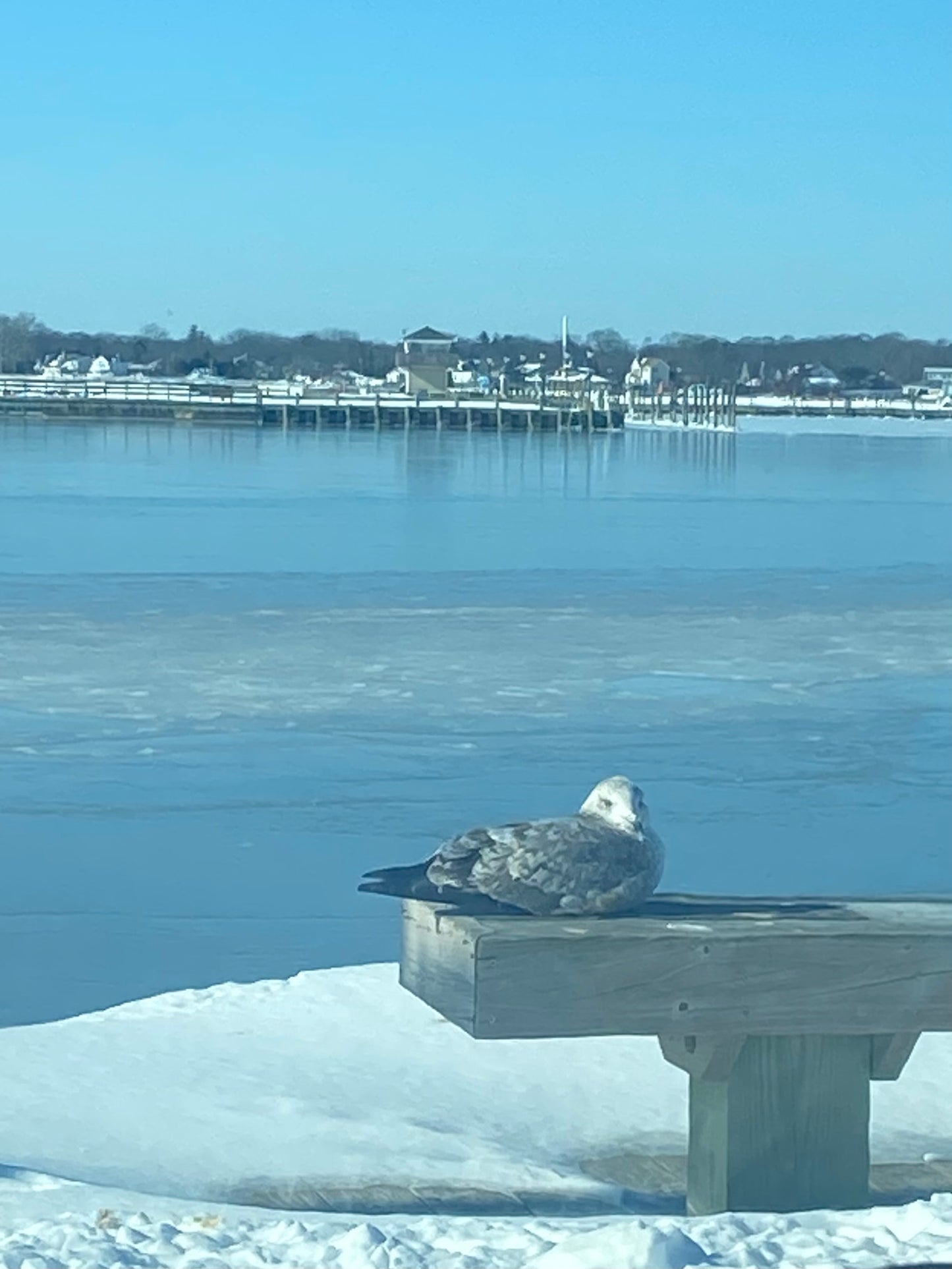 Matted Photo Prints- Edition 1 Island Snow