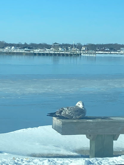 Matted Photo Prints- Edition 1 Island Snow