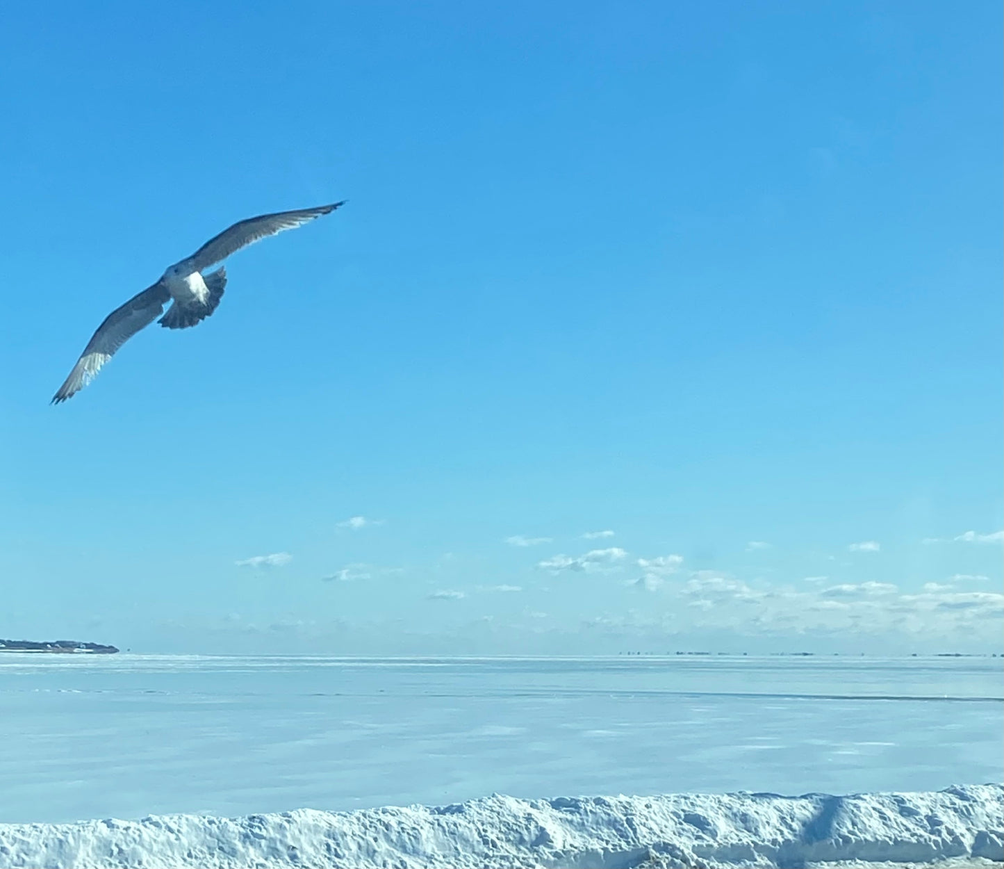 Matted Photo Prints- Edition 1 Island Snow