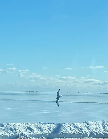 Matted Photo Prints- Edition 1 Island Snow