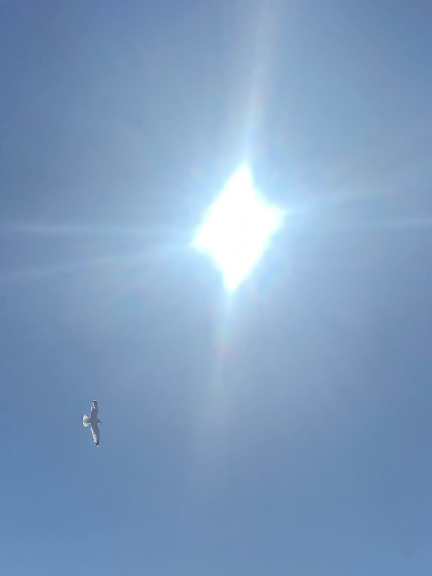 Matted Photo Prints- Edition 1 Island Snow