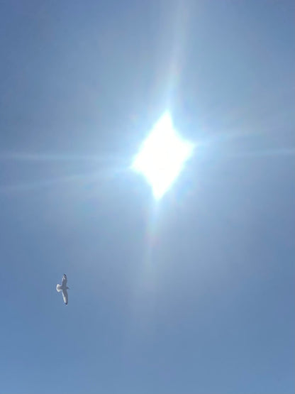 Matted Photo Prints- Edition 1 Island Snow