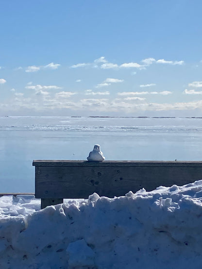 Matted Photo Prints- Edition 1 Island Snow