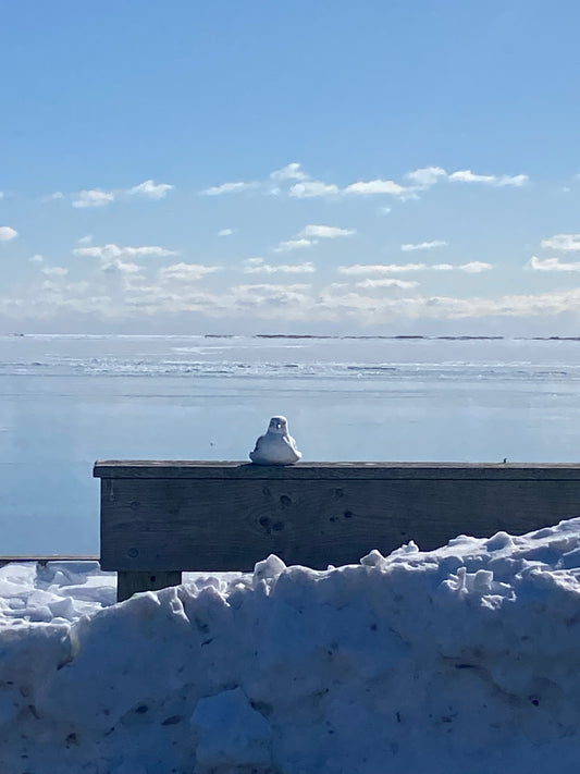 Matted Photo Prints- Edition 1 Island Snow