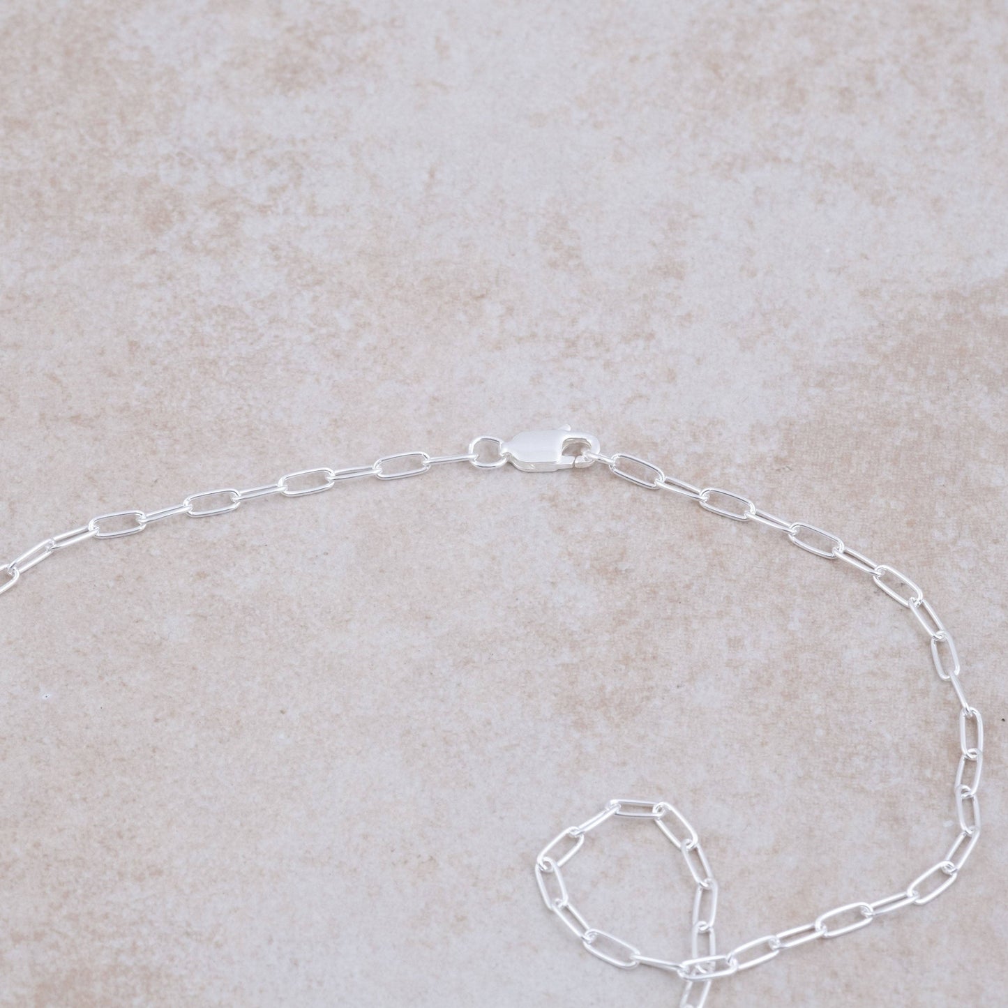 Holly Lane Paperclip Chain 16"